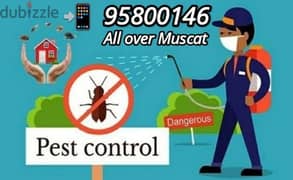 Insects killer medicine,Pest control services available, Bedbugs