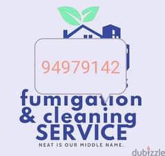 home villa & flaat deep cleaning service 0