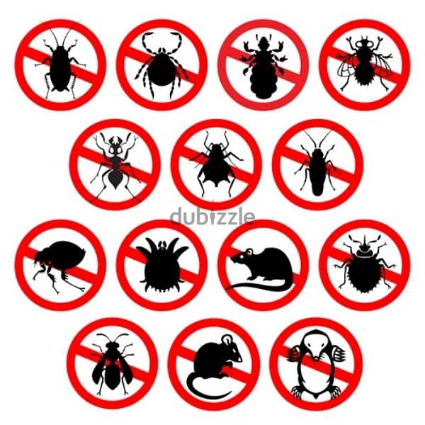 Insects killer medicine available,Bedbugs killer,Pest control services 1