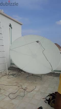 dish