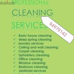 villa & flaat deep cleaning service