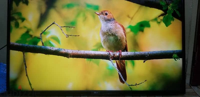 Sony 4kUHd android oled smart 65 inches for sale 1