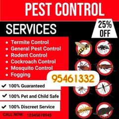 General Pest Control service for all kinds of insects