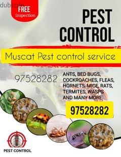 General Pest Control service for all kinds of Insects