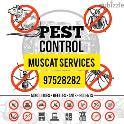 Insects Cockroaches Lizard Rat Aunts Pest Treatment Services