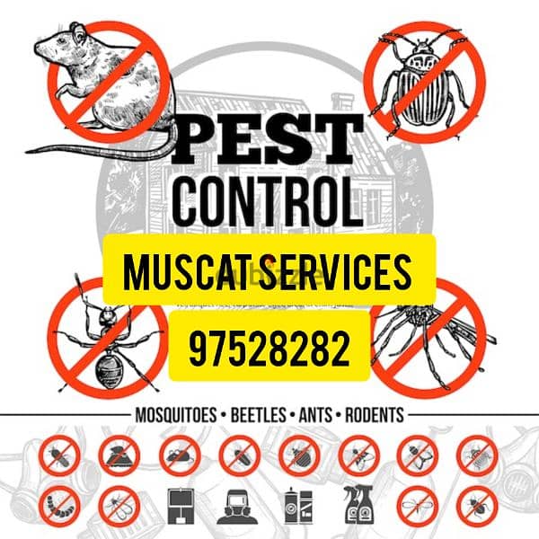 High Quality Pest Control Services/ WhatsApp or call us 0