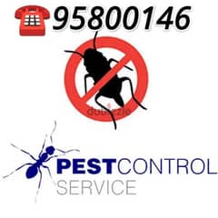 Pest control services in Muscat, Bedbugs killer medicine available