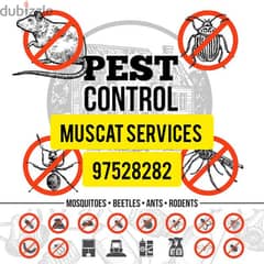 Quality pest control service all over muscat