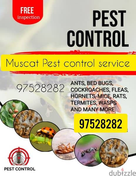 Royal Pest Treatment Services for Insects 0