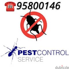 Pest control services available all over Muscat, Bedbugs insects etc