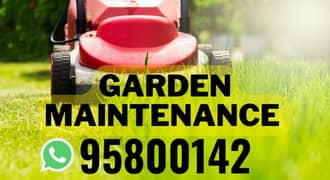 Garden Maintenance, Plant Cutting, Artificial grass, Watering,Seeds