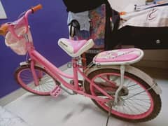 Girl Bicycle -22 Inch, extendable till 26 inch for aged 10 to 16 yrs 0