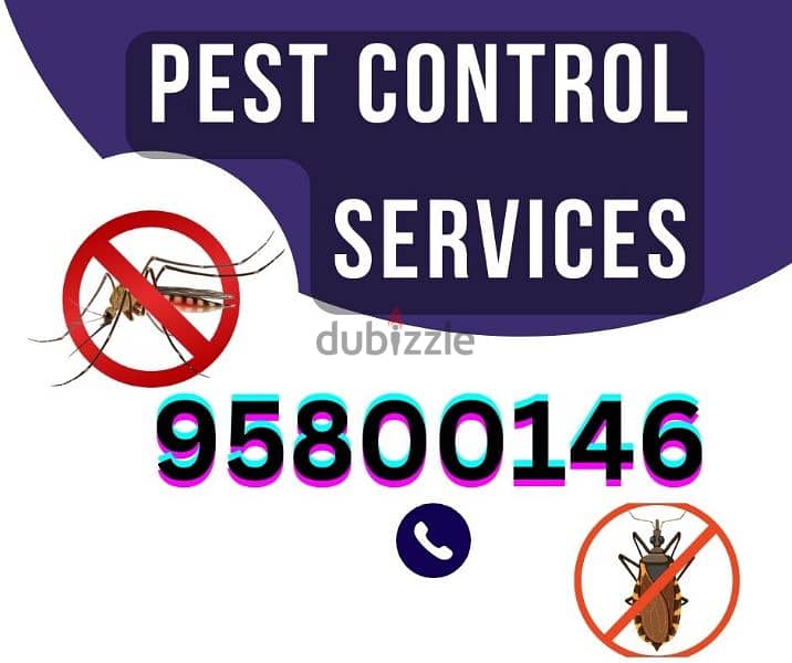Pest Control Services, Bedbugs, insects, Cockroaches, Rats, Ants, etc 0