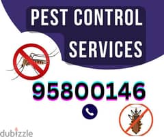 Pest and BedBugs Control Services in Muscat