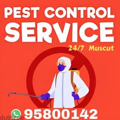 Pest Control Services, Bedbugs killer medicine available