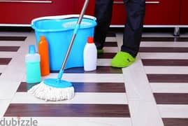 professional house office cleaning services 0