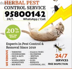 Bedbugs cockroach insects lizard snake medicine available 0