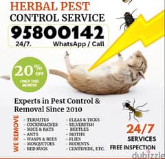 Bedbugs Treatment through Spraying, Pest Control Services