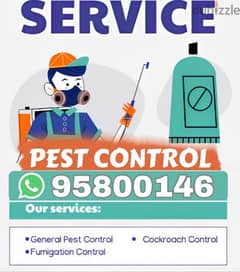 Bedbugs Cockroach Insects Lizard Snake,Pest control services 0