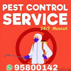 We have medicine for Bedbugs, Lizards, Snakes, Cockroaches, Insects,