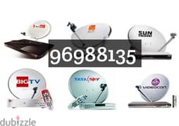 All satellite dish and receiver Fixing 
Airtel ArabSet Nileset Fixing.