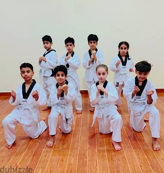 Taekwondo class for kids juniors and seniors 1