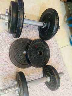 Dumbells set with rods