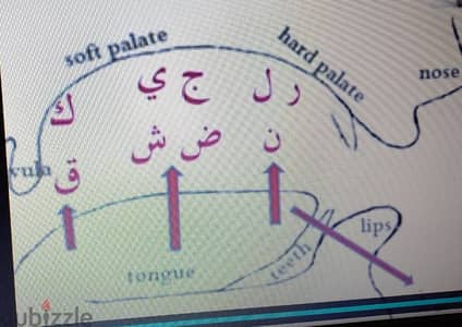 Arabic language learning