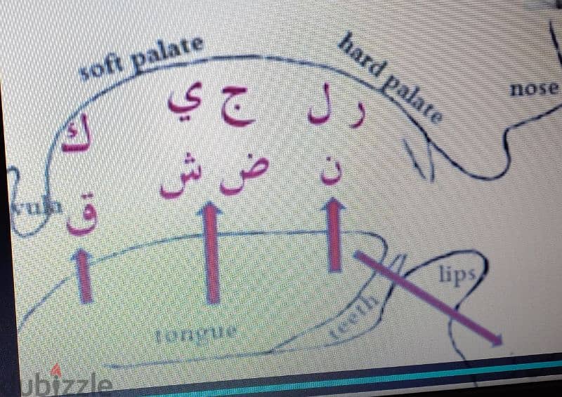 Arabic language learning 0