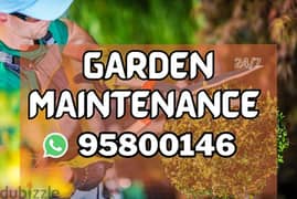 Our services Plants cutting,Garden Maintenance,Tree Trimming,Lawn care
