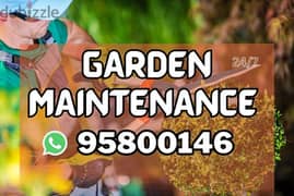 Our services Garden Maintenance, Artificial Grass, Tree Trimming,