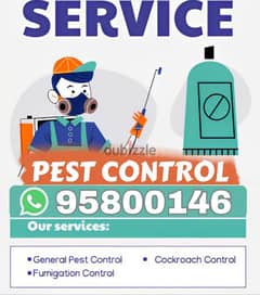 Pest Control Services all over Muscat, Bedbugs, insects, Cockroaches