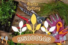 Garden Maintenance, Plant Cutting, Artificial Grass, Tree Trimming,