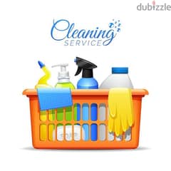 home and apartment deep cleaning services