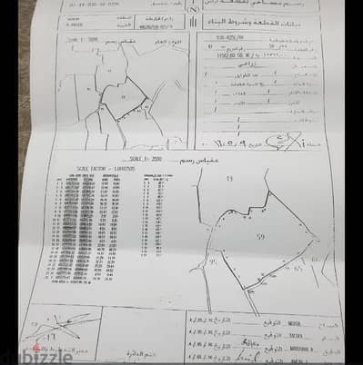 فرصه استثماريه أرض زراعية في ولاية صلالة بمنطقة البليد