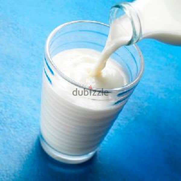 فریش تازا دودھ وہ بھی آ پ کے گھروں میں خالص گائے کا دودھ گارنٹی ھ 1