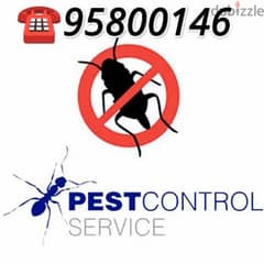 Pest Control Services, Bedbugs, Insects, Cockroaches, Rats, Ants etc