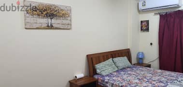 Furnished Room , kitchen, Free Wifi, water,Electricity/monthly/ weekly