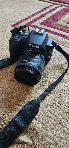 Canon 250D for sale