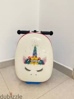 Scooter Bag ZINKFLYTE company