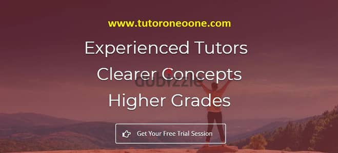 A Levels-IGCSE-IB Classes - Professional Tutors