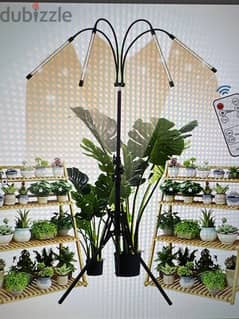 LED Lights for indoor plants
