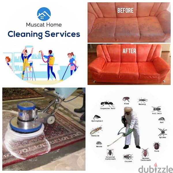 sofa /carpet / shampoos cleaning services 0