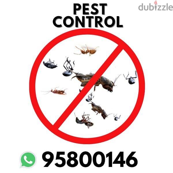 Pest Control Services in Muscat, Insects/Bedbugs solution, 0