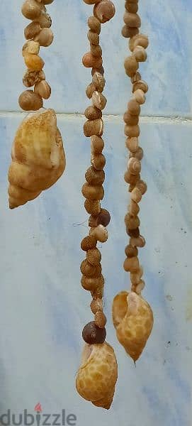 SHELL HANGING CHAINS 1