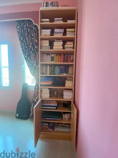 book shelves 2