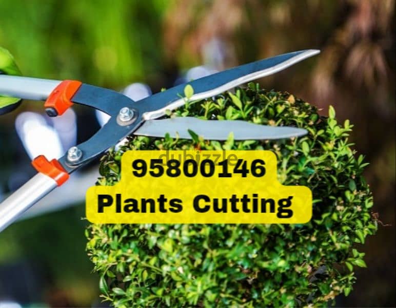 Plants Cutting, Artificial Grass, Tree Trimming, Backyard Cleaning 0