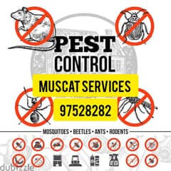 Muscat Pest control services insect bedbugs aunts cockroach solution