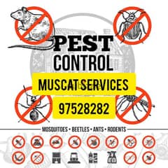 Pest Control service Bedbugs aunts cockroach solution 0