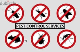 Pest treatment services all over Muscat 0